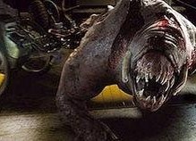 丧尸战士,末世求生之路