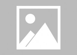 世纪之爱,跨越时空的永恒传说