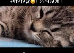 你快抱抱他,传递温暖与爱的温馨瞬间