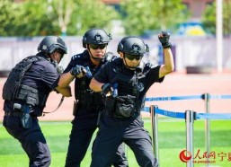 警察战术,实战策略与应对技巧解析