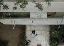 暴力小姐,揭秘都市女性的另类生存法则