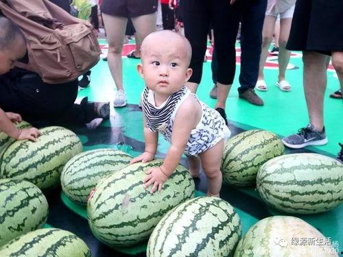 娱乐吃瓜图片图文大全,吃瓜图鉴，一网打尽明星幕后故事  第1张